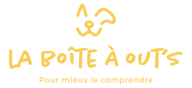 LA BOITE A OUT'S comportementaliste pour chats